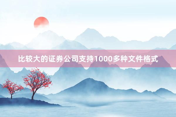 比较大的证券公司支持1000多种文件格式