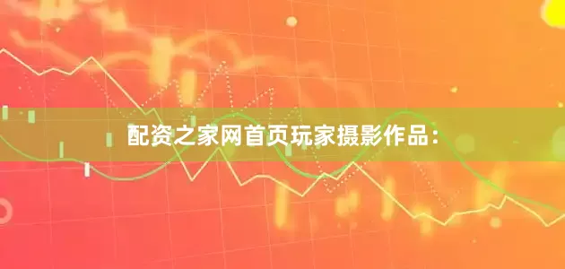 配资之家网首页玩家摄影作品：
