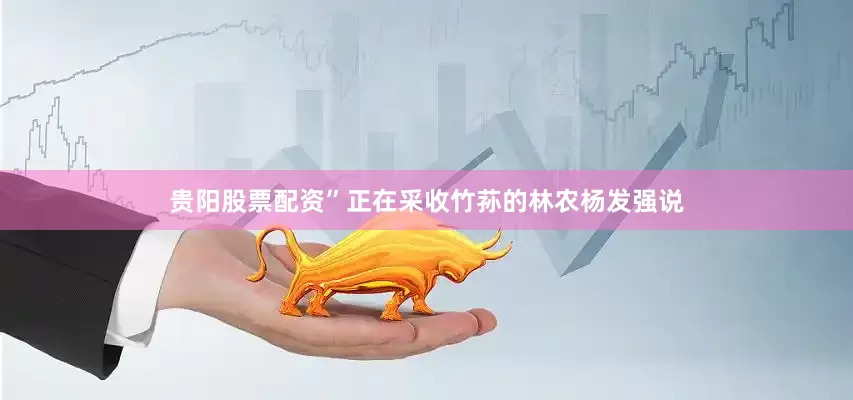 贵阳股票配资”正在采收竹荪的林农杨发强说