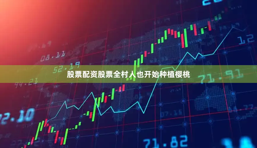 股票配资股票全村人也开始种植樱桃