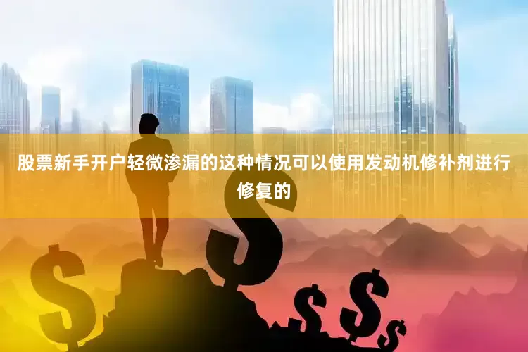 股票新手开户轻微渗漏的这种情况可以使用发动机修补剂进行修复的