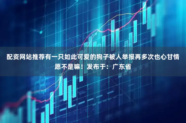 配资网站推荐有一只如此可爱的狗子被人举报再多次也心甘情愿不是嘛！发布于：广东省