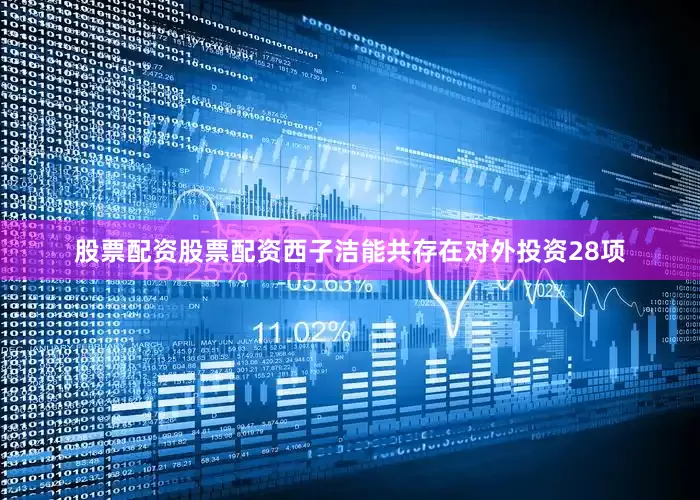 股票配资股票配资西子洁能共存在对外投资28项